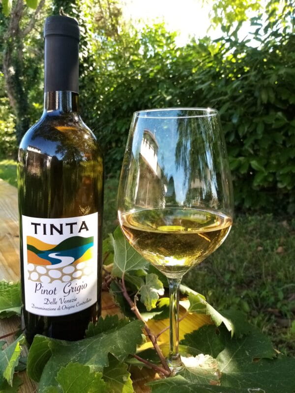 Flasche Tinta Pinot Grigio delle Venezie DOC